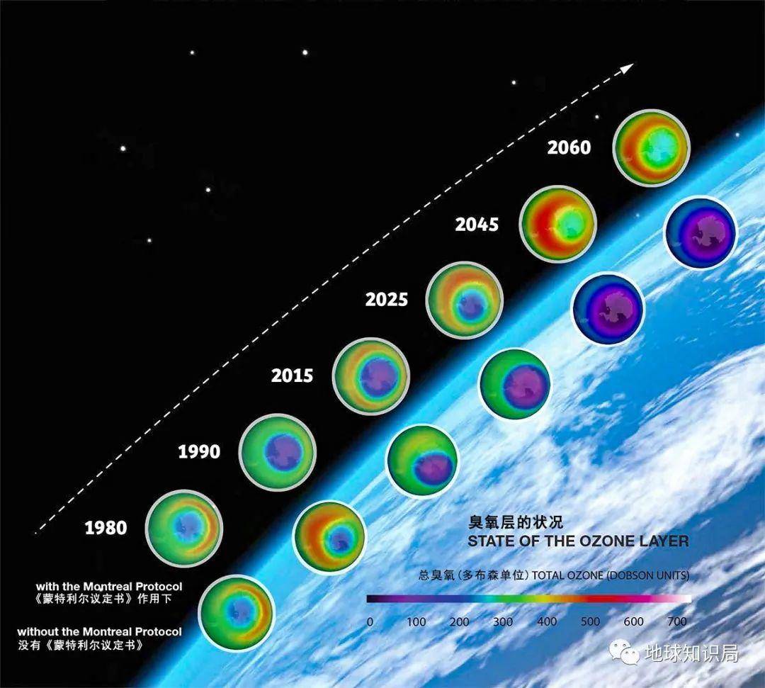 ��ת�ˣ������շ����ڱ�С��| ����ѧ�ʾ�