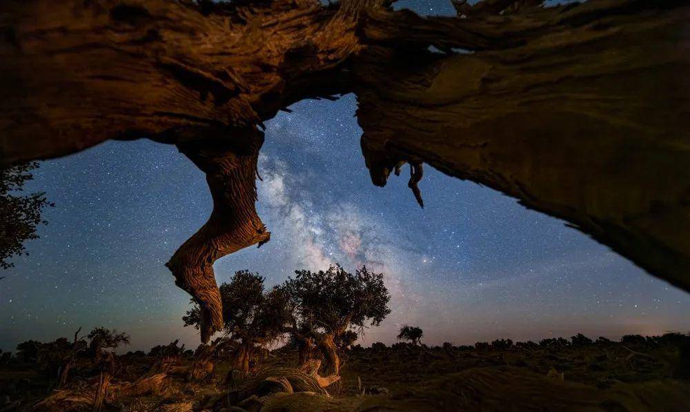 致敬星光女神，那些就是她们摘下的星星