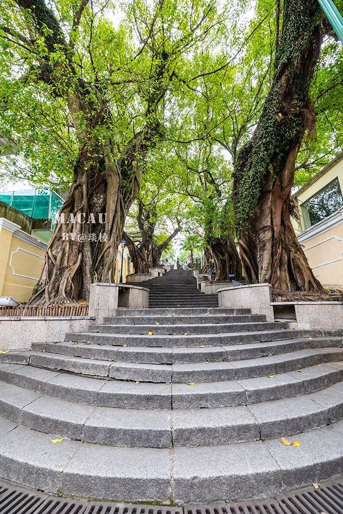 �������������۵����ս���֮һ�����������ξ���������ɫ ...