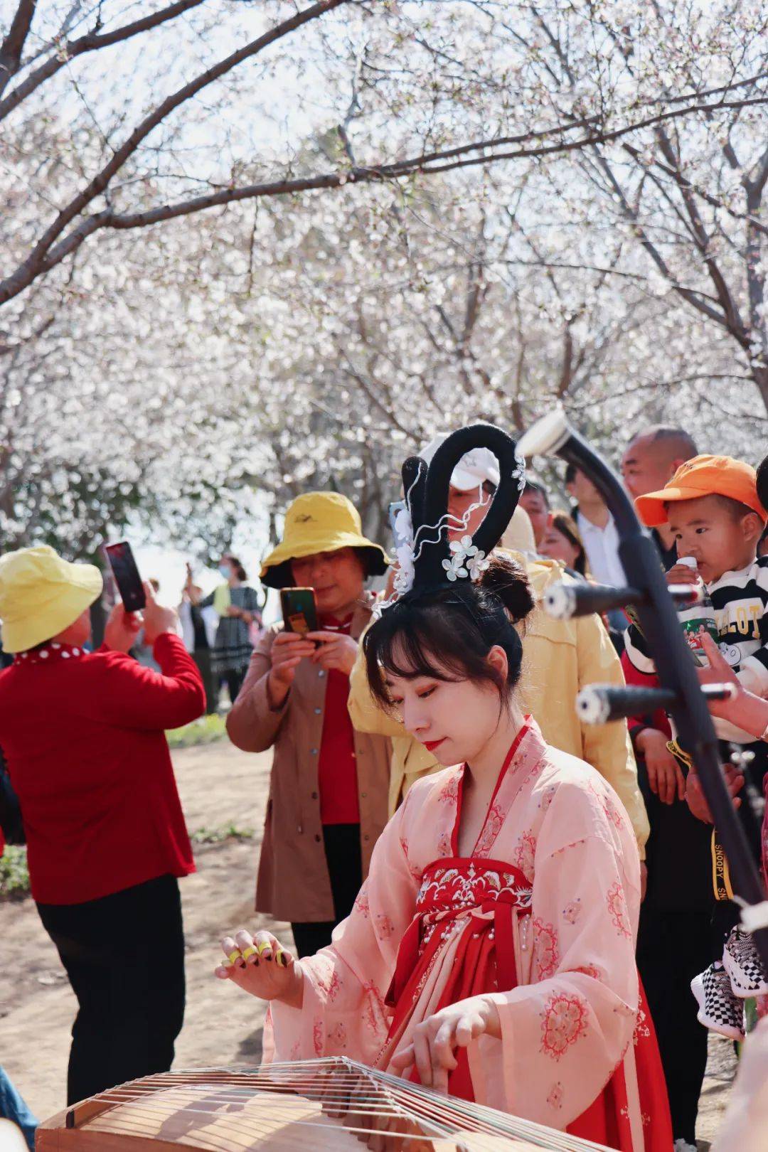 江夏安山的樱花冷艳出圈！网友：好想去！