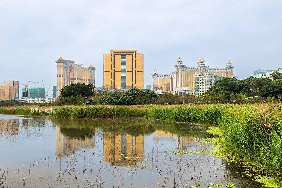 �������������۵����ս���֮һ�����������ξ���������ɫ ...