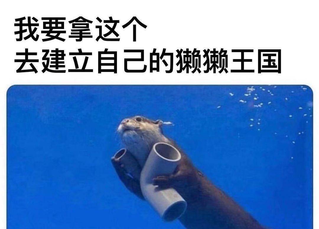 小动物也有小脾性！