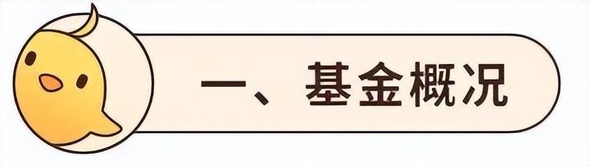 国投瑞银新丝路行情走势阐发，买了一堆冷门股，本年却能又立异高！