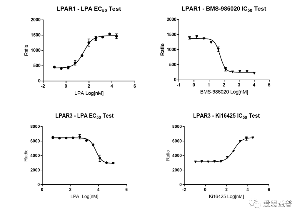 ����������֮GPCR�е������������Ӱ��