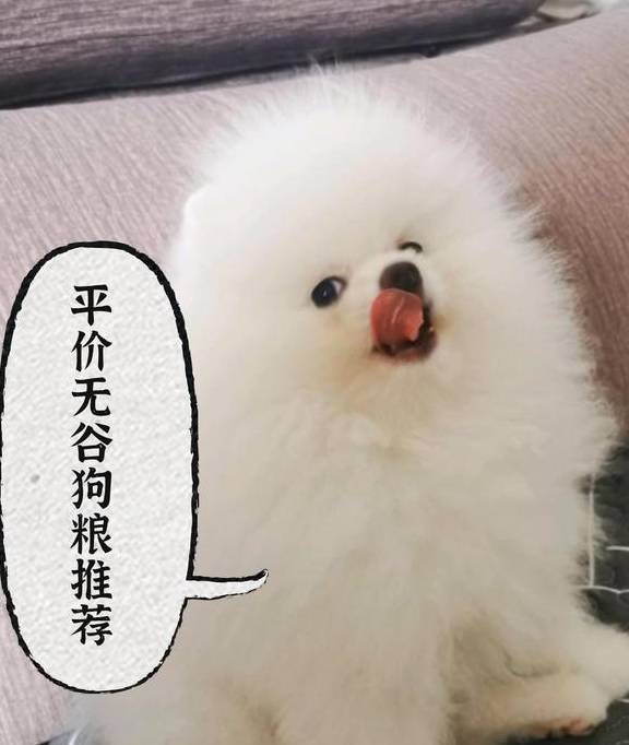 原创月薪5k选择什么牌子狗粮好？高性价比的国产无谷狗粮推荐