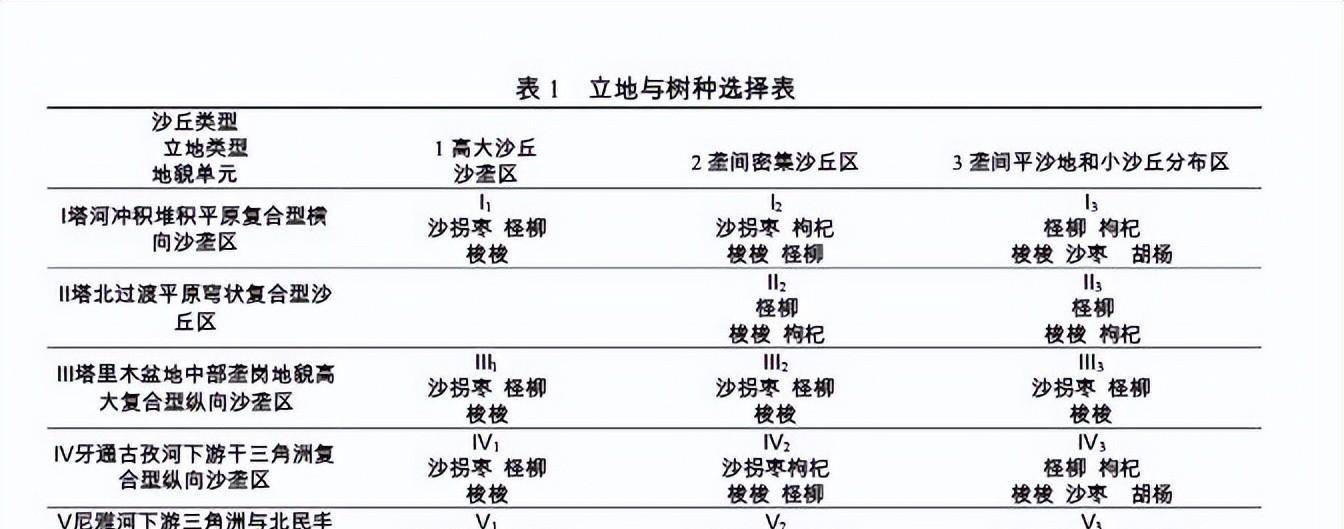 伤亡之海中的音乐符，塔克拉玛干戈壁公路，我们人缔造的奇观