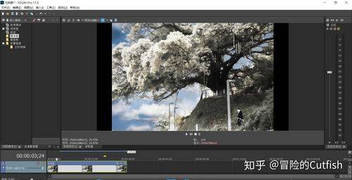 Adobe IC Adobe InCopy(IC)全版本软件最新下载