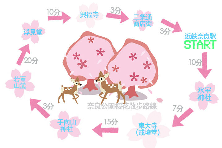 在日本灵魂与文化之都奈良，与30000棵樱花树共舞！