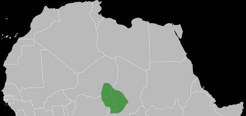 ���޹Ŵ�25���۹�������������������ʢʱ��������� ...