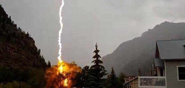 雷击木是干嘛的？有人花一万元买下一株遭雷劈的老枣树