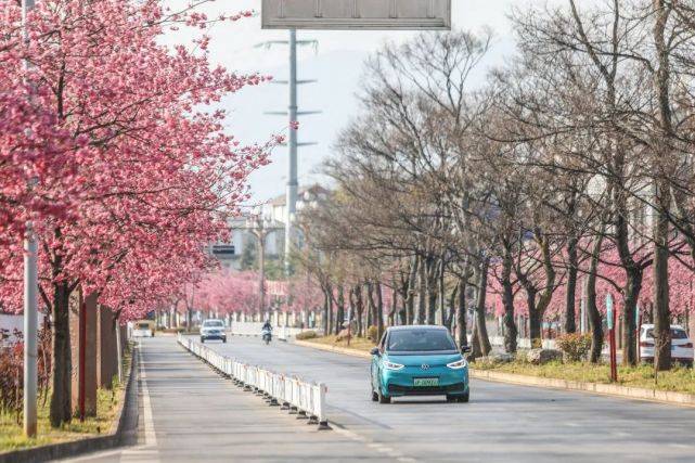 丽江那个处所，最让人怦然心动！出格是“她”来了后……