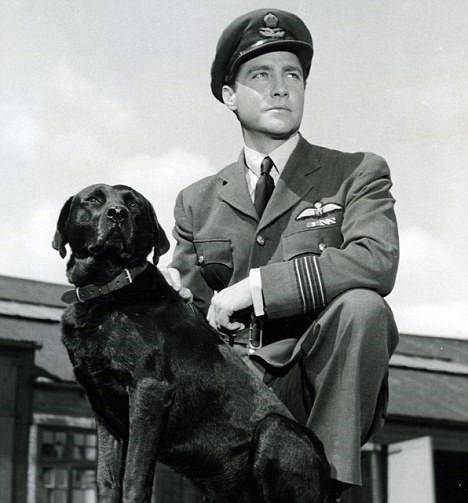 ����ʲô������սӢ������ȮĹ�����ֱ�Ĩ���������������� ...