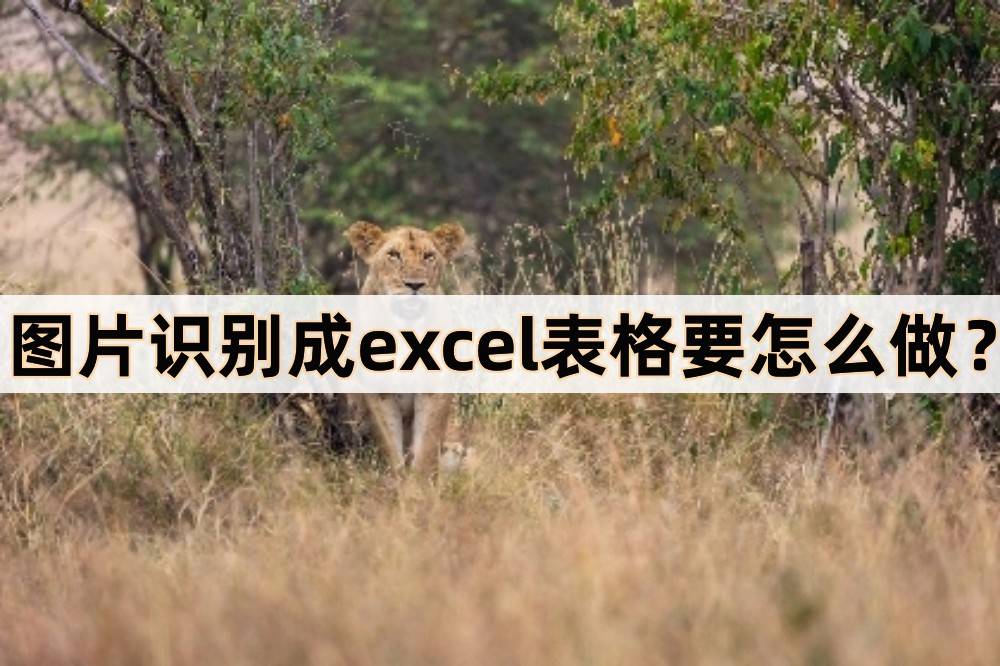 图片识别成excel表格要怎么做？能够那么识别