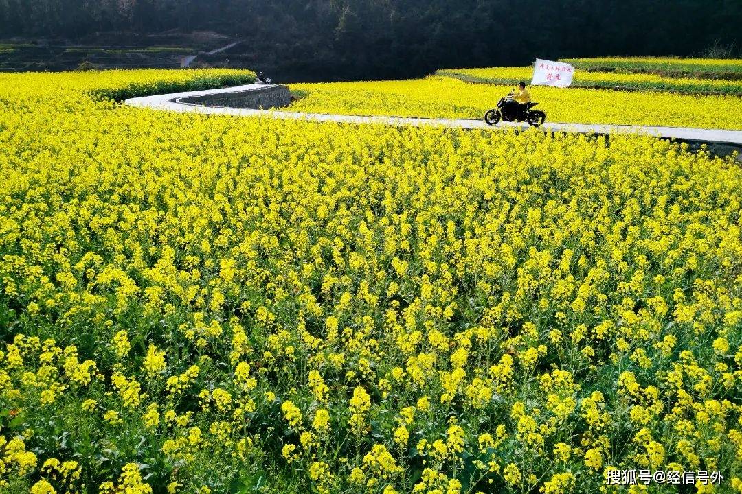 “心花怒放·大美修文”赏花攻略