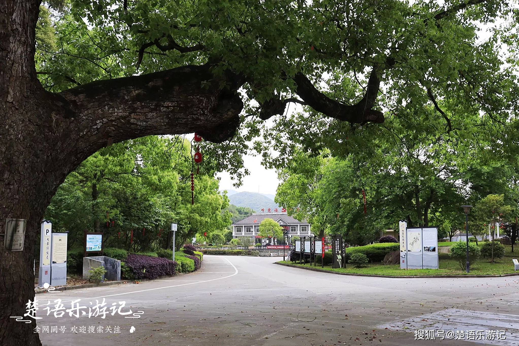 胜似水墨画的宁波古村，每次前往都能发现新风景，休闲寻幽两相宜