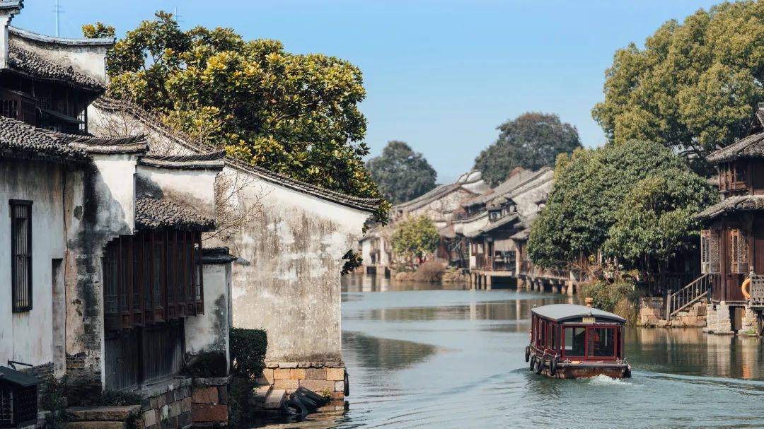 不负春光！乌镇好好生活节退场，带你见见江南水乡有多“野”！