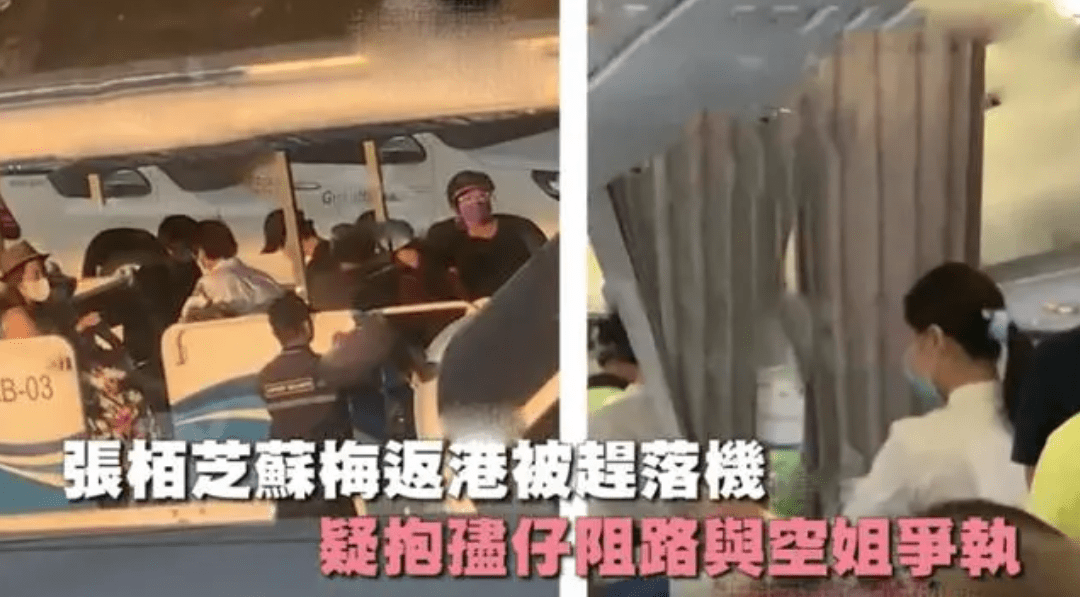 42���Ű�֥���������˳��ܣ�4̥�����������ϣ�չʾ�������� ...