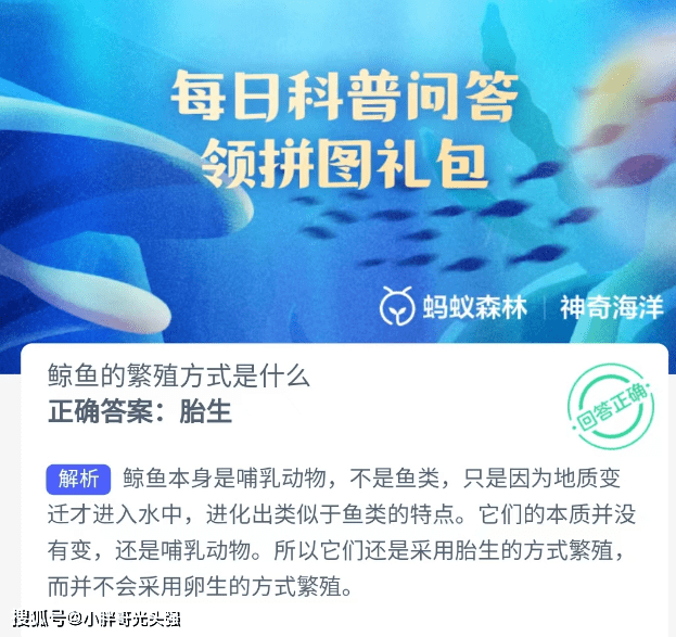 鲸鱼的繁衍体例是什么？蚂蚁丛林奇异海洋