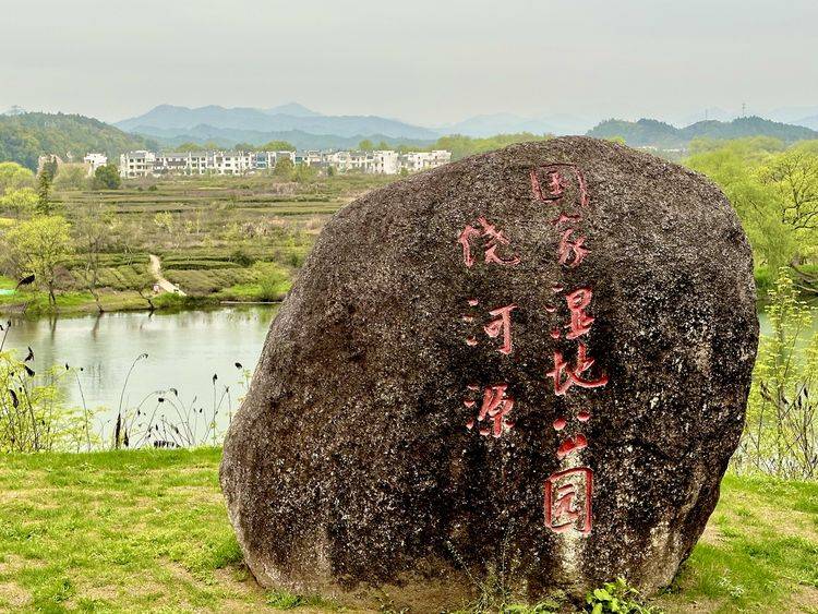 春游，愉悦之旅