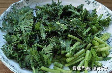 那些蔬菜的钙量、卵白量比肉更高，准确吃蔬菜，3个冷常识需掌握