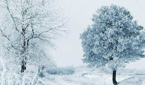 掩不去的雪痕，千里又千里