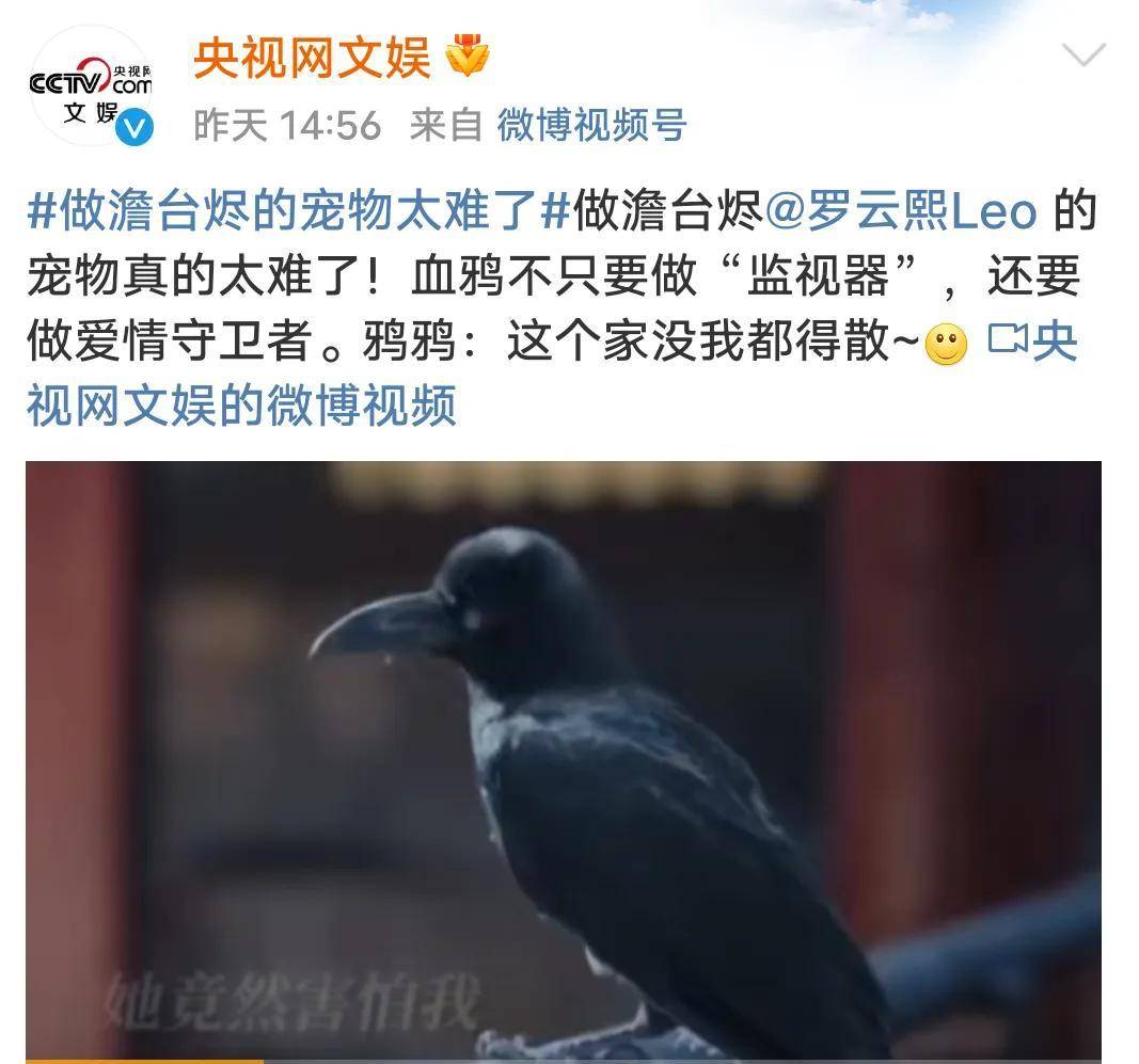 《长月烬明》有多都雅？看央视上头的样子就懂了，快成不雅寡嘴替了