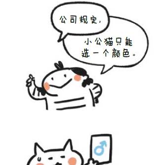 猫咪奇葩说：小猫咪的美陈旧见解，丑的却是各有所长