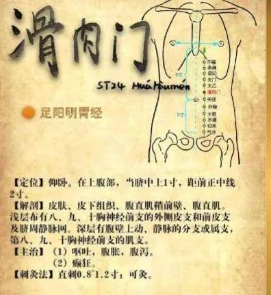 滑肉门穴中医的消食大穴其可调理胃肠治疗食积腹胀消化不良