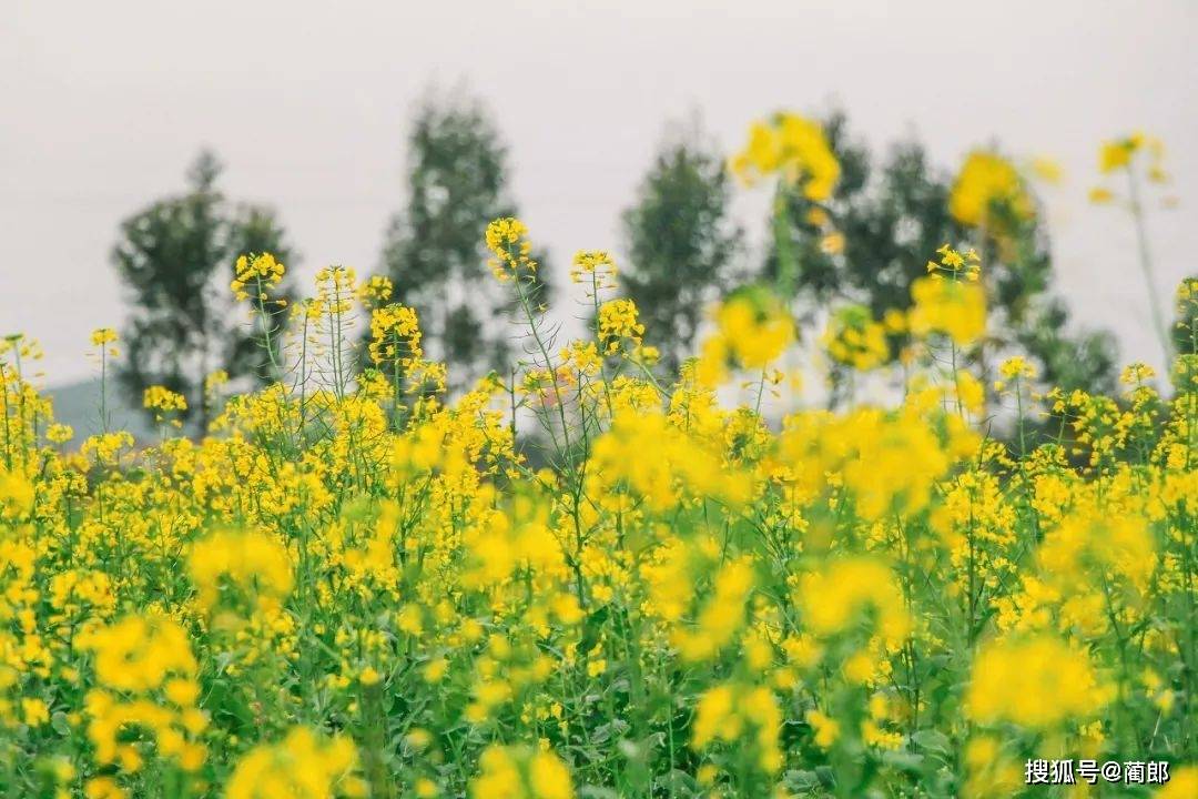 浙江十大必玩景点