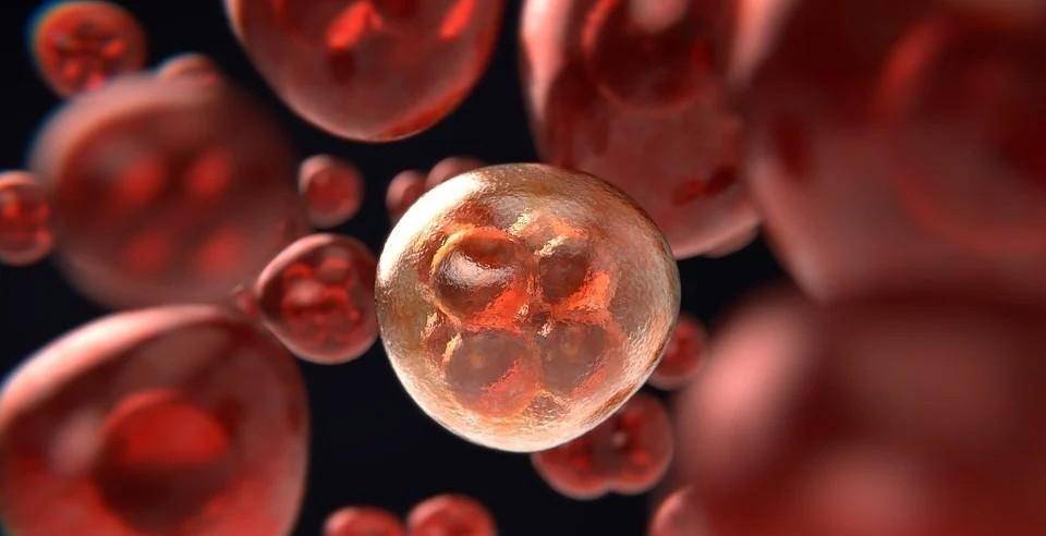 她虽伤去70年，但她的病细胞仍在繁衍，人类是否能实现永生？