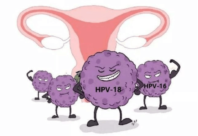 女性有必要接种HPV疫苗吗?？
