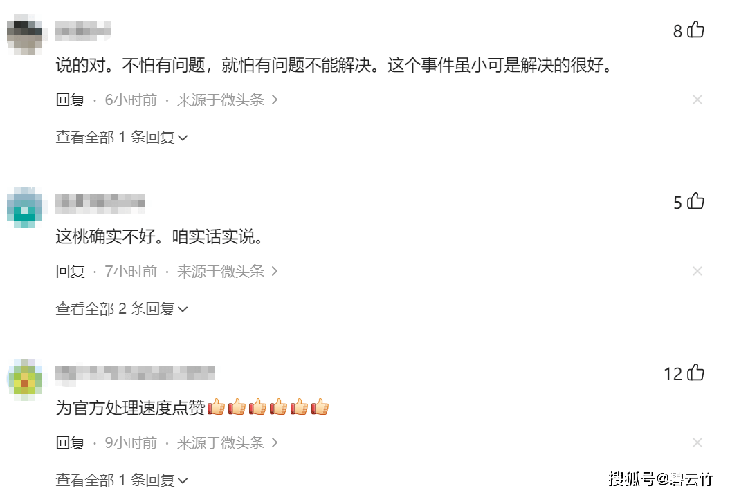 女生淄博买桃坏大半，官方2小时解决，网友：这才是真正的服务