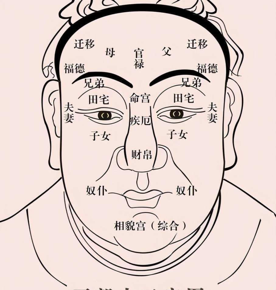 “初生的九龙骨，迟早会晋升，什么是九龙骨？老祖宗的辨人才能准确吗？