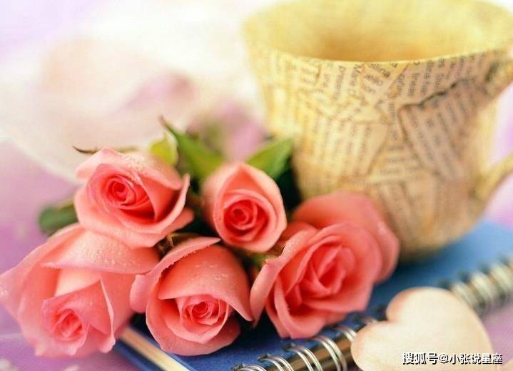 5月起头财气上上签，事业顺利，翻身做豪富翁的四大生肖