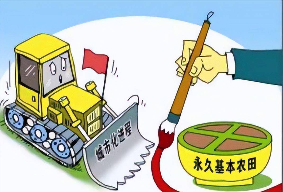 开云 开云体育平台美国傻了吗？为什么他们宁肯倒贴钱也要向我国出口粮食？(图11)