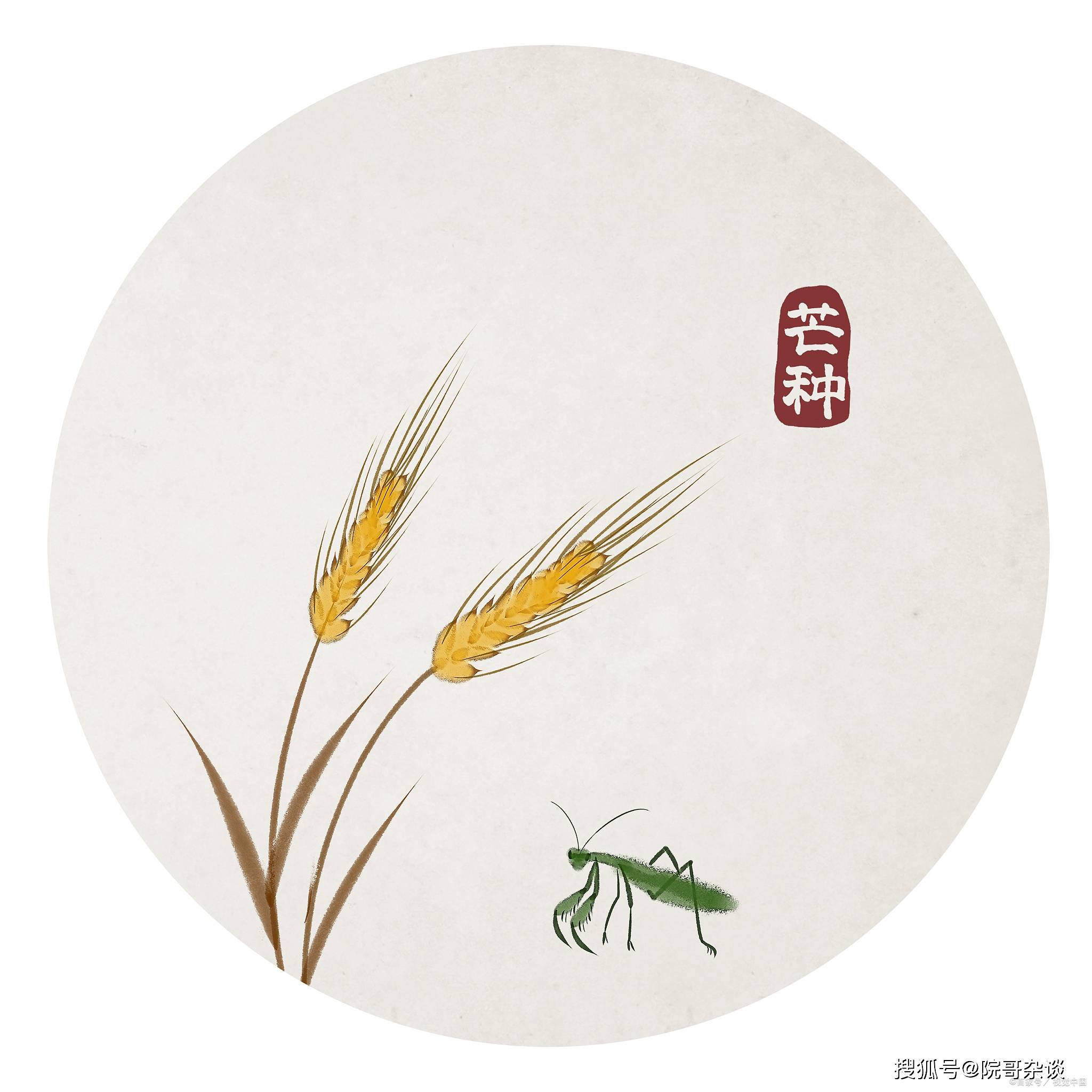 芒种的寓意和象征是什么意思