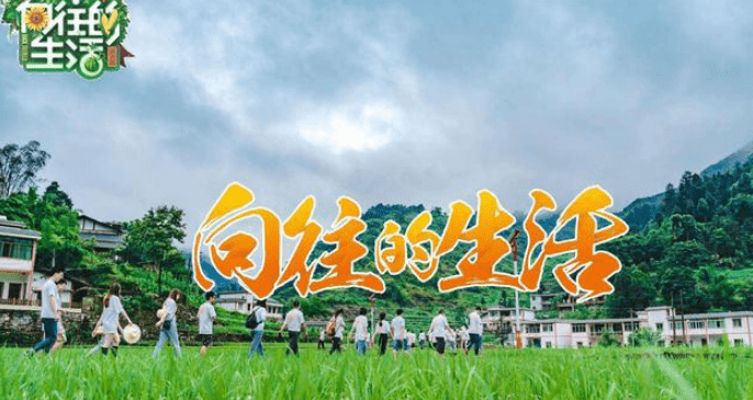 《向往的生活》停播内幕曝光：黄磊是主动背锅，导演早不想拍了