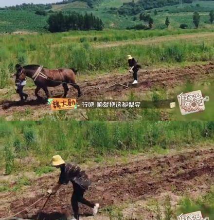 九游会J9 J9九游会魏大勋开荒犁地！解锁不少新农艺！看到这一幕你想到了什么？(图1)