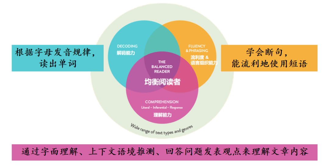 BOB全站暑期活动｜“我爱阅读”第三届小学生英语手抄报展示活动(图10)