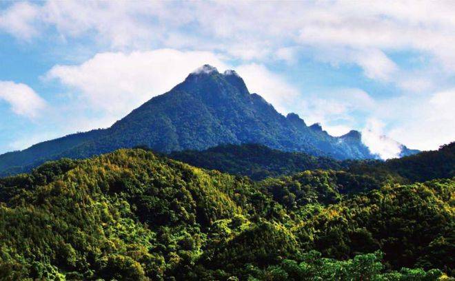 五指山是海南岛的象征，五指山市拥有丰富独特的自然资源