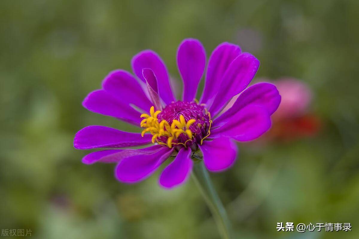 原创一个家庭有这3大特点，会越来越好，很常见又很难得