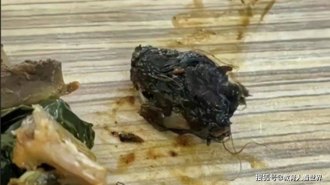 鼠头鸭脖事件后,涉事企业竟在省级重点高中注册!校长怕是睡不着了