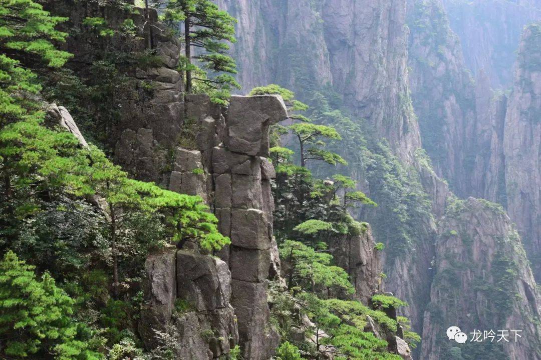 秋天，相见黄山......（黄山美图、旅游攻略）