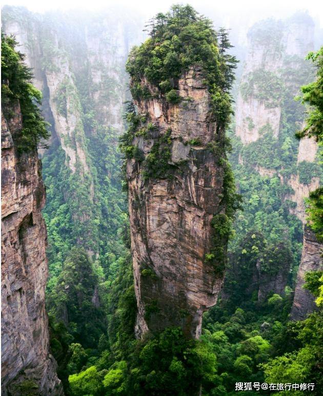 和家人的一次完美旅行张家界4天3晚亲子之旅自由行攻略