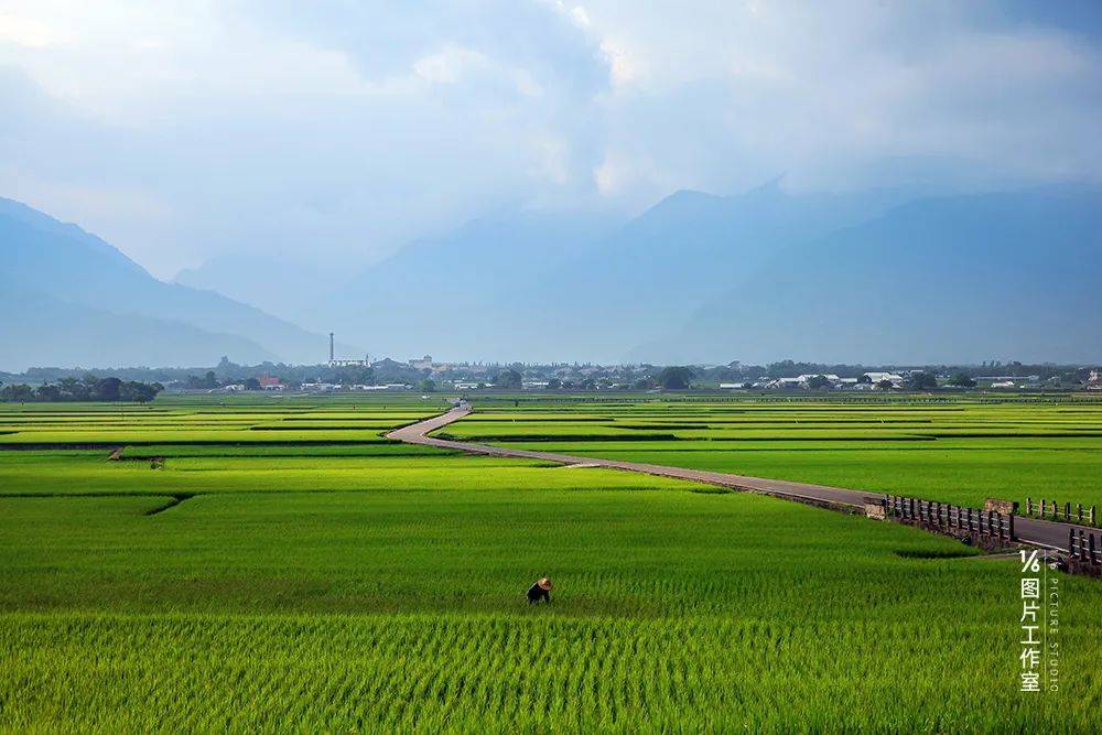 文章配图-5