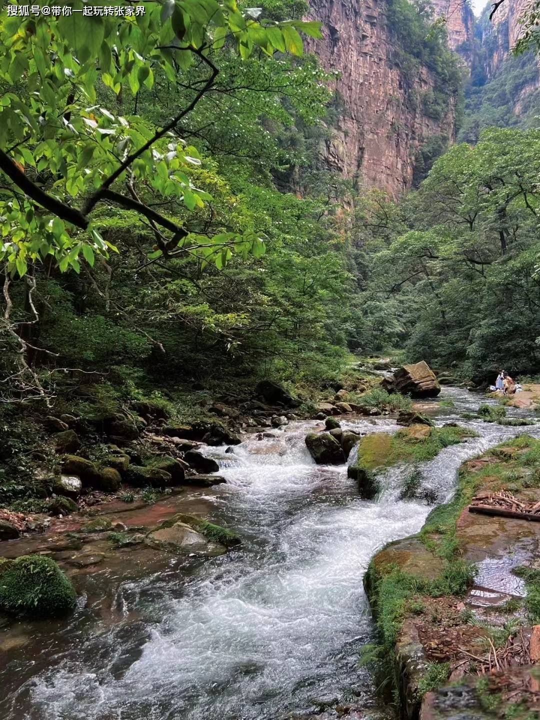 最新张家界凤凰古城之旅5天旅游攻略，吃住酒店一价全含