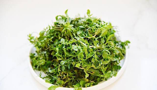 荠菜新吃法,不炒不炖,还鲜香入味,一日三餐都能吃,老少皆宜