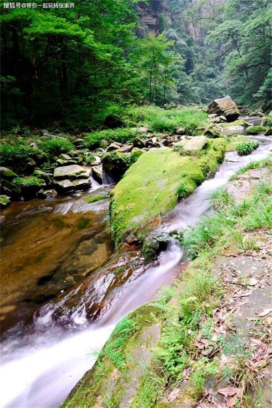 10月的淡季人少景色美到张家界天门山凤凰古城玩5天旅游攻略