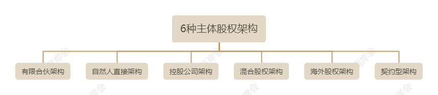 天博官网六种经常使用的主体股权架构(图1)