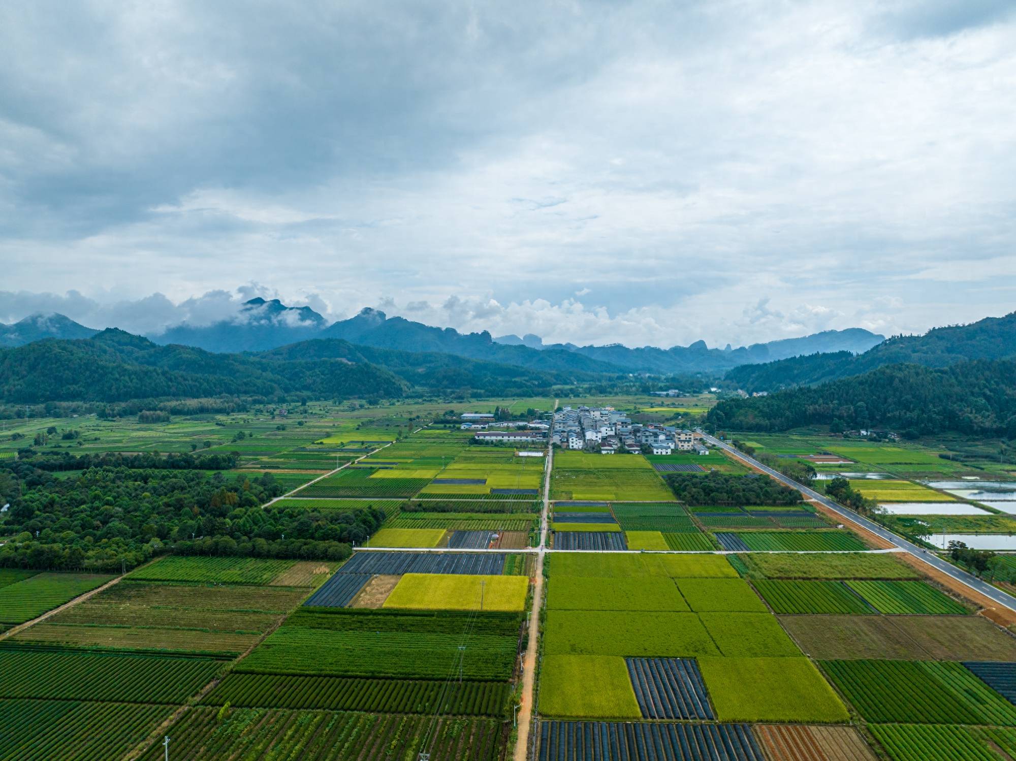 三天两晚，环武夷山国家公园1号风景道自驾游